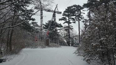 Сніг на Ай-Петрі / © Twitter/RoksolanaToday&Крым