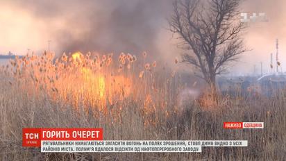 В Одесі рятувальники намагаються загасити вогонь на полях зрошення
