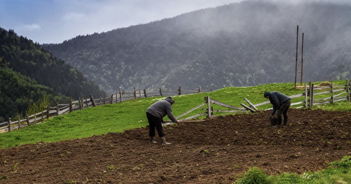 Парубий пообещал, что Рада примет мораторий на продажу земли 