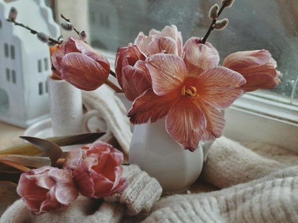 День ангела 7 декабря— душевные поздравления в прозе / © pexels.com