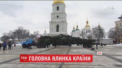 До Києва прибула головна ялинка України
