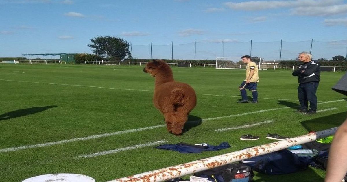 twitter.com/EvanSeaman1