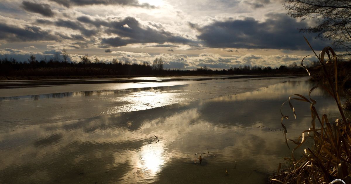 У Чорнобильській зоні небезпечно для Києва стрімко піднявся рівень води у річці