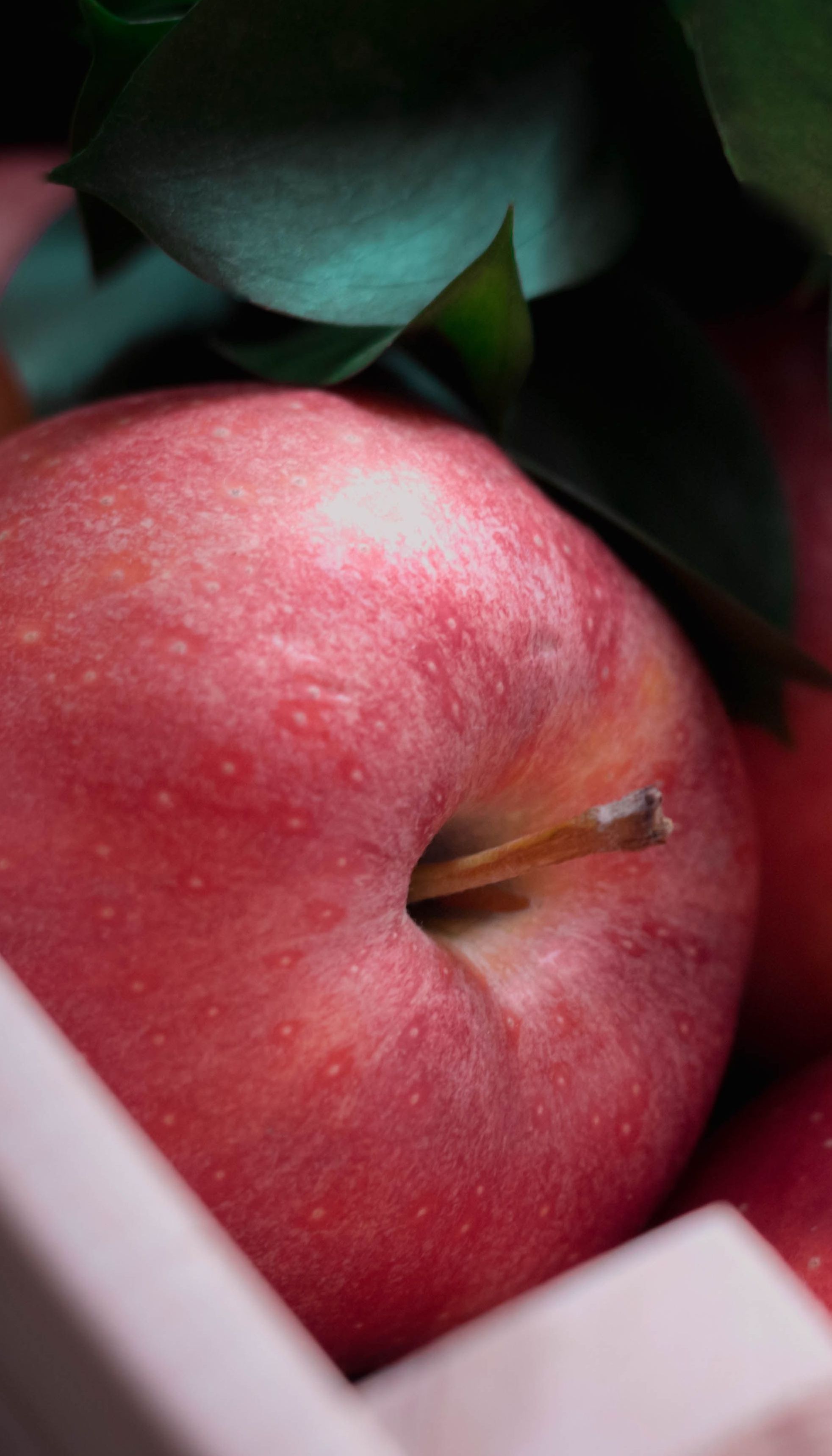 В Україні подешевшали яблука: скільки коштує кілограм