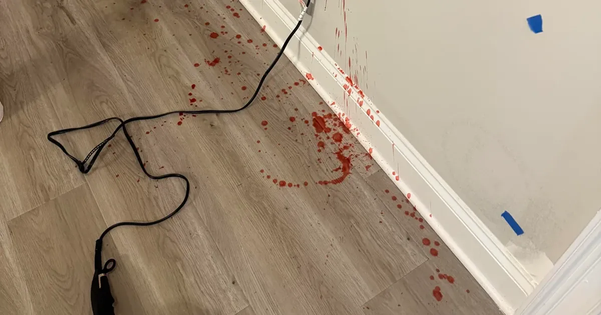 Собаки устроили беспорядок