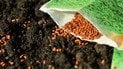 Месячный посевной календарь на май 2025 года