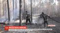 В Полесском заповеднике за сутки выгорело до 500 гектаров леса