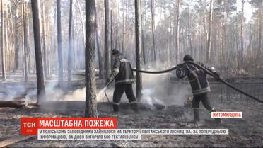 В Полесском заповеднике за сутки выгорело до 500 гектаров леса