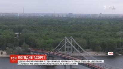 Тепло и дождливо: синоптики успокаивают, что май 2020 года не является аномальным