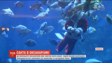 У паризькому океанаріумі Санта-Клаус занурився до акваріуму та нагодував рибок