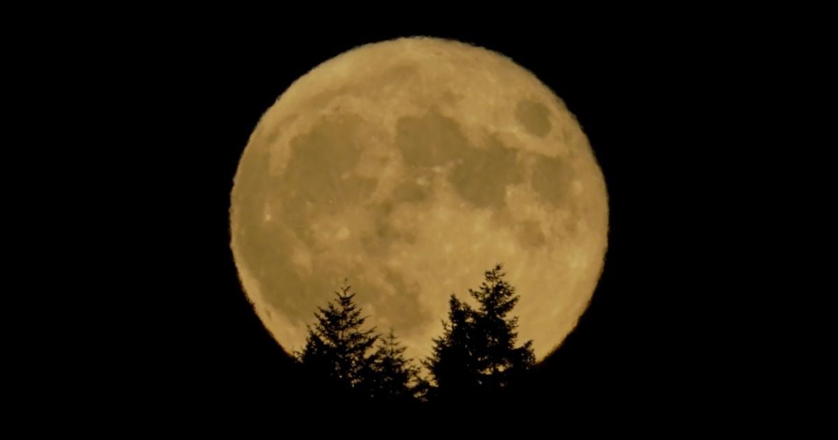 Во время полнолуния активизируются жизненные силы