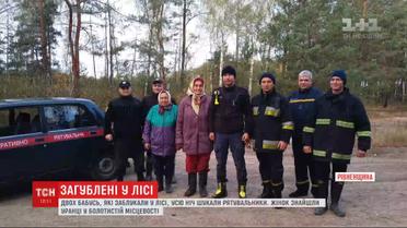В лесу на Ровенщине ночью заблудились двое бабушек, которые пошли собирать клюкву