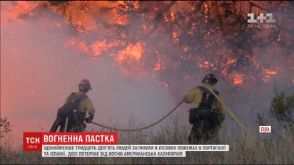 Влада Португалії просить про міжнародну допомогу в боротьбі з лісовими пожежами