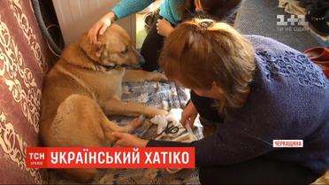 В Черкасской области семья приютила собаку, котрая отстала от своего поезда