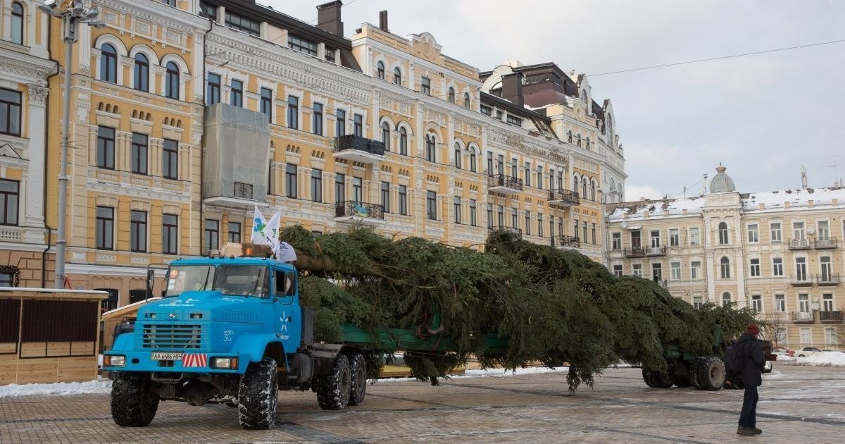 новорічна ялинка_1 / © УНІАН