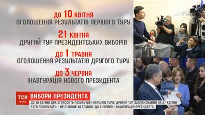 До 10 апреля ЦИК должна объявить результаты первого тура президентских выборов