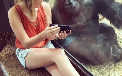 Американка вместе с гориллой пересмотрела в Сети трогательные видео