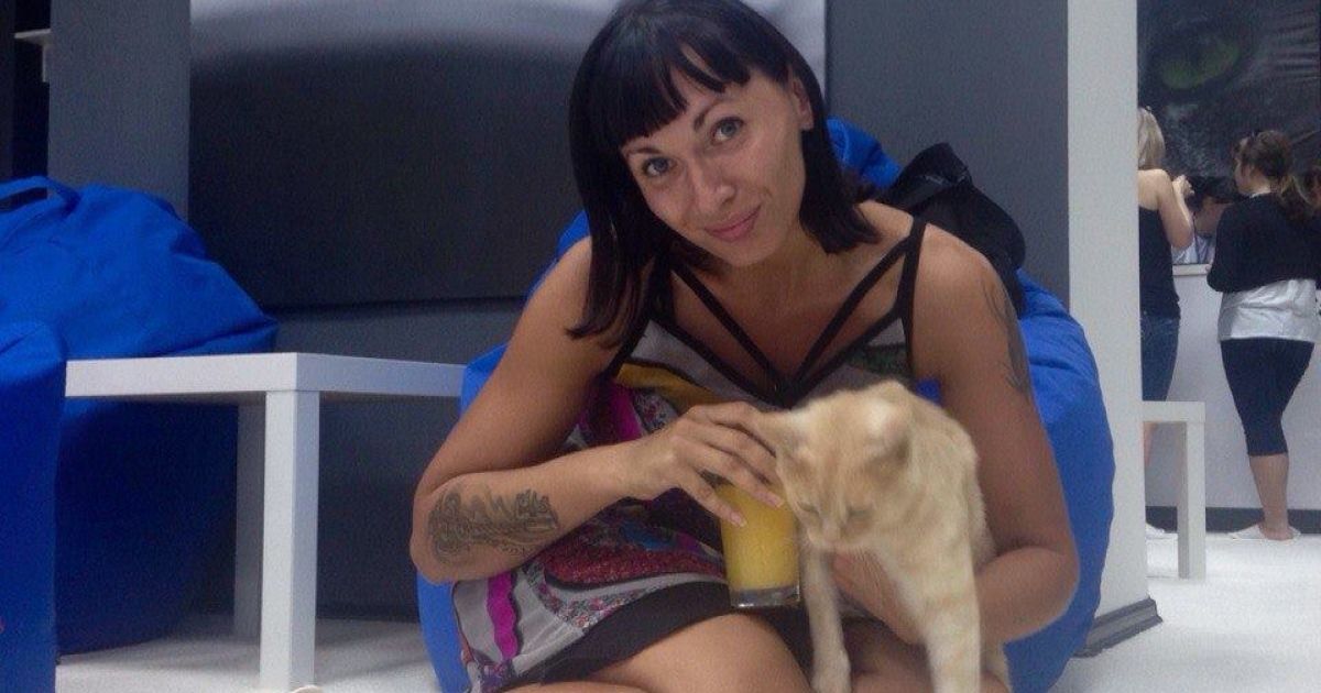 Посетителям котокафе нравится играть с животными, которые хорошо снимают стресс