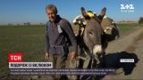 Новини світу: 59-річний німець відправився у навколосвітню подорож із віслюком