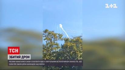 Сбили "летучую балалайку" - Одессе в море бултыхнулся иранский дрон-камикадзе