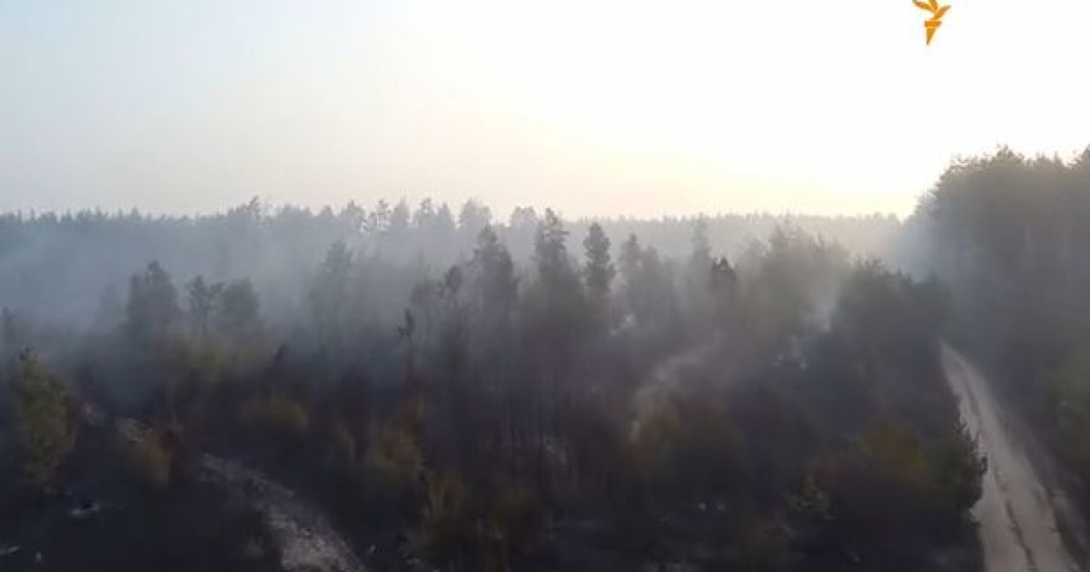 Торфовища горіли під Києвом