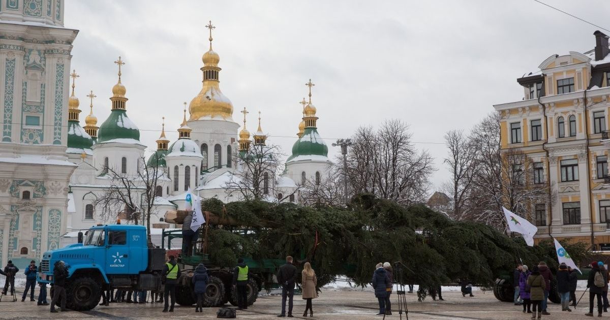новорічна ялинка_6 / © УНІАН
