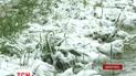 Снег, дожди и шквальный ветер: Украину накрыл мощный циклон