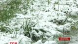 Снег, дожди и шквальный ветер: Украину накрыл мощный циклон
