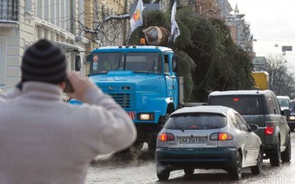 Возле киевской елки-рекордсменки установят колесо