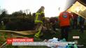 Пожарная бригада Дублина несколько часов спасала животное, которое провалилось в канаву