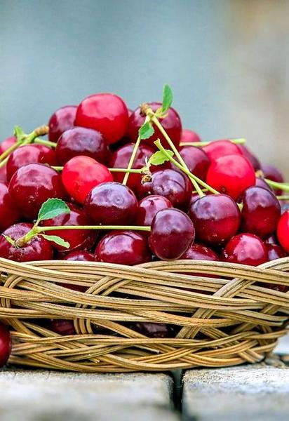 Протизапальні продукти — важливий елемент вашого щоденного раціону