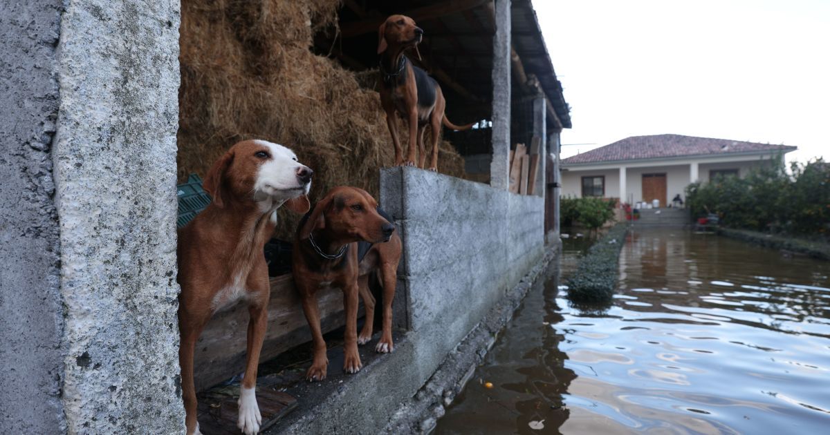 Обвалилися мости та затопило будинки: масштабна повінь накрила турецьку Анталію (відео)