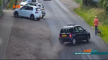 В Британии водитель снес женщину, которая выгуливала собаку