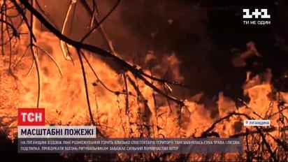 Пожежі у Луганській області: одна людина загинула, ще двоє - шпиталізовані з опіками