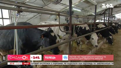 Уряд створив фонд гарантування кредитів для фермерів – Економічні новини
