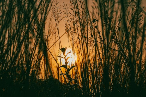 Народные приметы 23 августа / © pexels.com