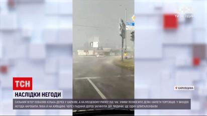 Погода в Україні: Харковом пронеслася потужна злива 