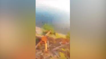 Українець у шортах та шльопанцах збиває російську ракета із ПЗРК - Мережа (відео)
