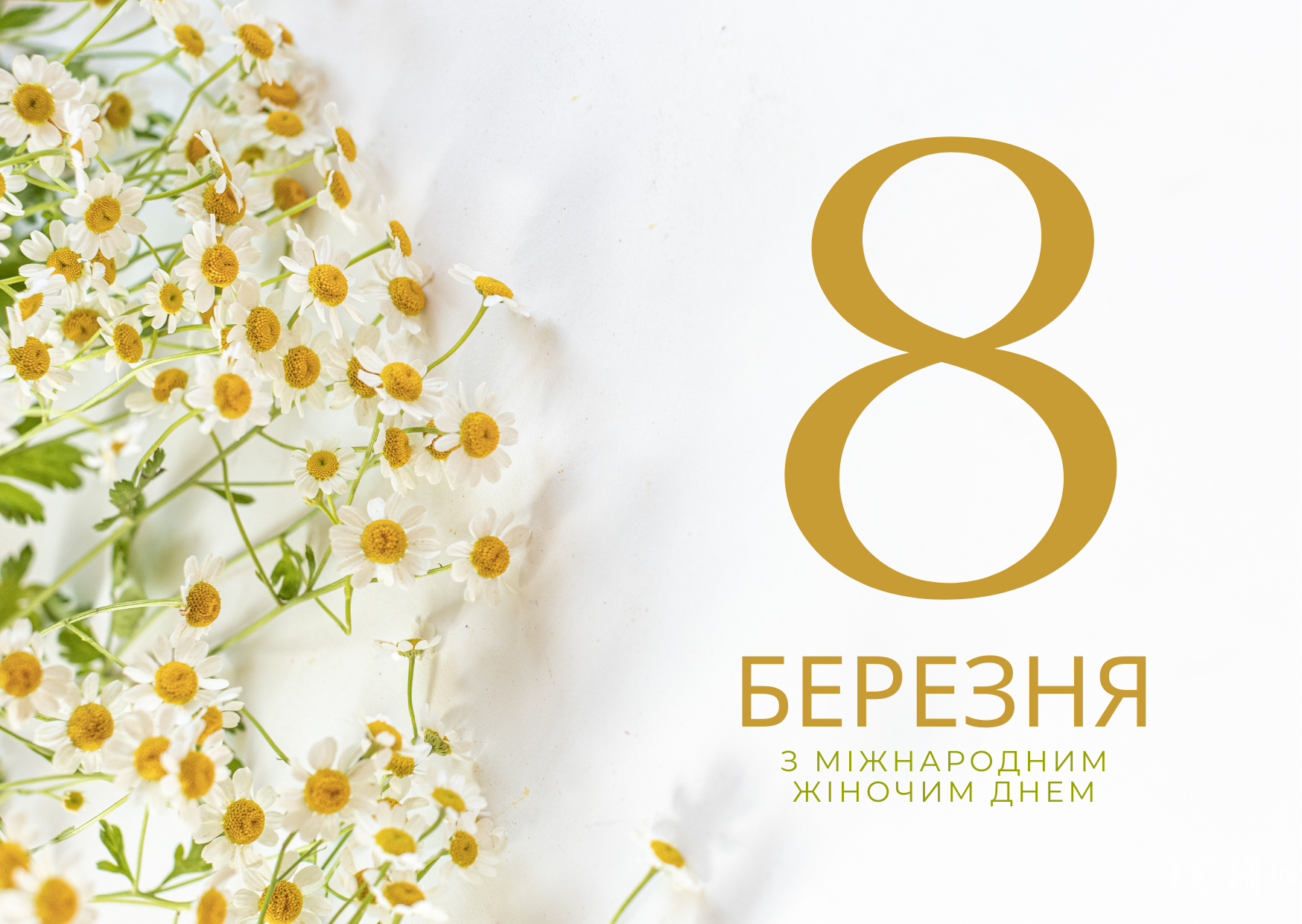 З 8 Березня 2023 року: картинки українською, привітання в прозі та віршах до Міжнародного жіночого дня 3