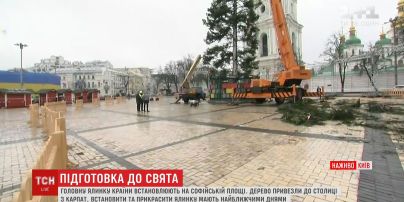 Главную елку уже установили на Софийской площади
