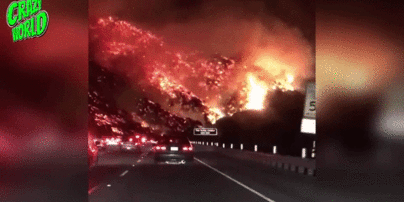 В Сети показали потрясающее видео "адских" лесных пожаров в Калифорнии 