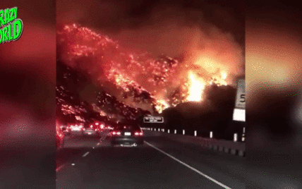 В Сети показали потрясающее видео "адских" лесных пожаров в Калифорнии 