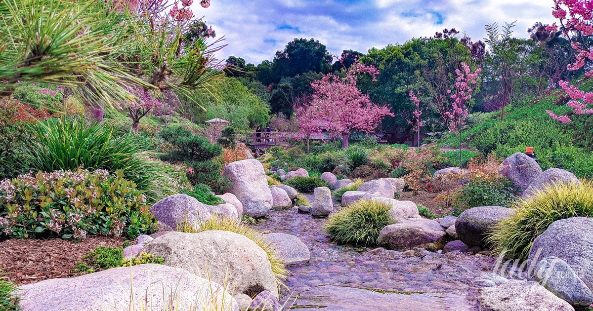 Як оформити клумби