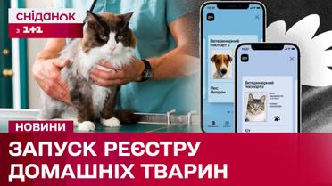 В Украине заработал Единый реестр домашних животных! Кого из любимцев регистрировать и как это сделать?