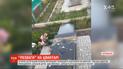 Недитячі розваги: у Харківській області діти влаштували погром на кладовищі