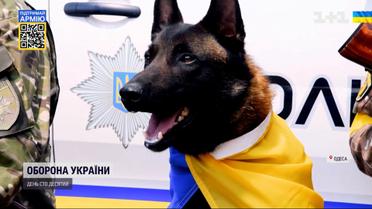 Собака дитині друг: як чотирилапі допомагають малечі