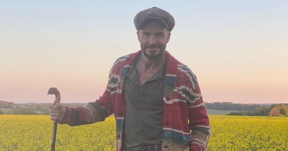 Новий бізнес: Девід Бекхем буде займатися виробництвом синтетичного канабісу