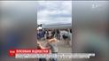 В украинских аэропортах массово застревают туристы