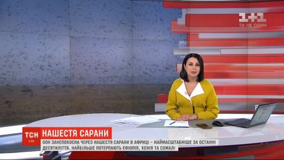 ООН занепокоєна через нашестя сарани в Африці