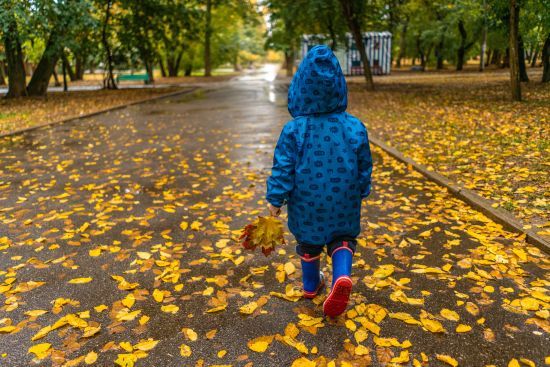 Понедельник будет дождливым: прогноз погоды в Украине на 20 сентября